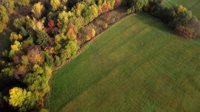 Aerial drone view over autumn forest of the Carpathian rural landscape .Colorful trees in the wood