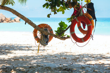 Tropical beach sea sand sky and summer day, life jackets and life buoys hanging on a tree, vacation concept - obrazy, fototapety, plakaty