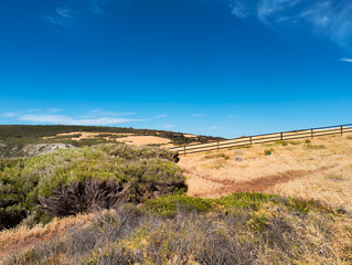 Rolling Hills of the Australian Countryside