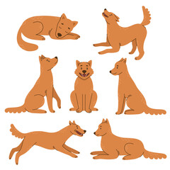 Set of dogs in different poses. Pet, friend. Sitting, lying, jumping, sleeping dog. Simple vector illustration in flat cartoon style isolated on white background