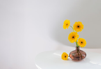 yellow gerbera in glass vase on white table on white background
