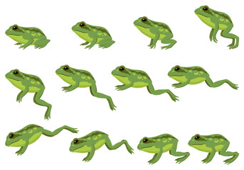 Frog jumping animation icon set. Sequences or footage for motion design. Cartoon toad jumping, animal movement concept. Animated process of frogs leaps sequence,  illustration - obrazy, fototapety, plakaty