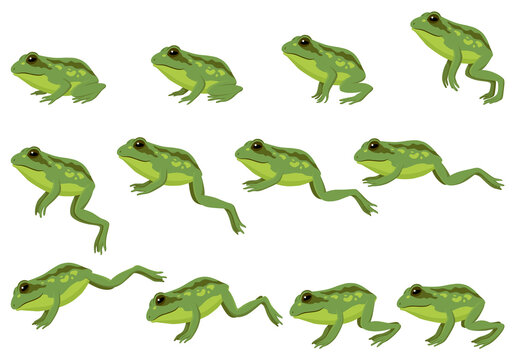 Frog jumping animation icon set. Sequences or footage for motion design. Cartoon toad jumping, animal movement concept. Animated process of frogs leaps sequence,  illustration