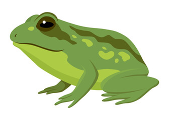 Frog jumping animation icon. Sequences or footage for motion design. Cartoon toad jumping, animal movement concept. Frog leap sequence,  illustration