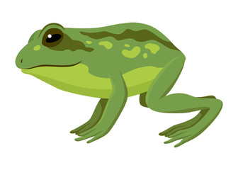 Frog jumping animation icon. Sequences or footage for motion design. Cartoon toad jumping, animal movement concept. Frog leap sequence,  illustration