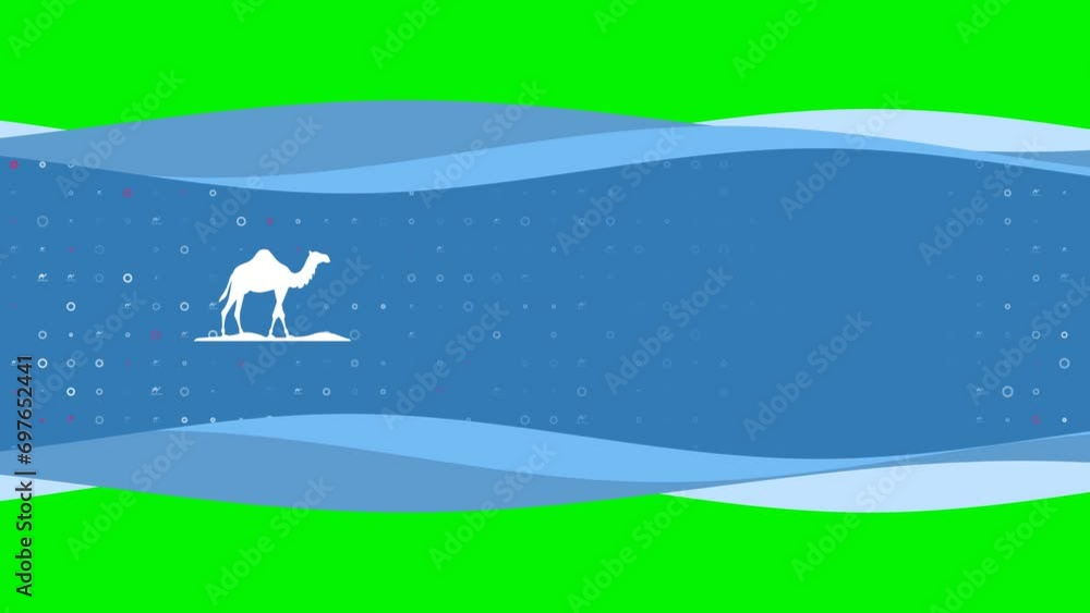 Poster animation of blue banner waves movement with white wild camel symbol on the left. on the background 