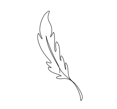 Vector isolated simple bird feather one single line drawing  colorless black and white contour line easy drawing