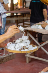 Sprigs of cotton close-up. Beautiful fluffy cotton