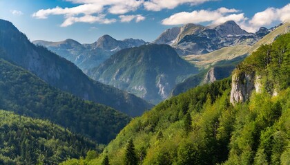 Fototapeta na wymiar forest and mountains in national park piva in montenegro highs