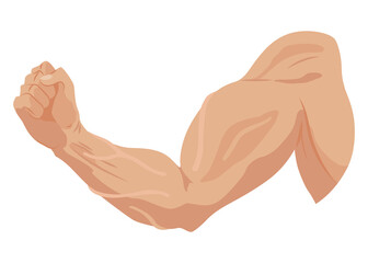 Male biceps muscles icons set. Sportsman arm with strong biceps.  symbol of healthy power. Athletic body with tense muscles hand isolated onwhite background