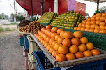 Close-up view of many ripe yellow orange fruits stacked in rows in trays.