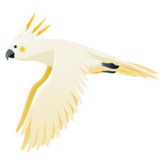 Parrot animation. Exotic adorable fauna character flight. White sulphur crested cockatoo. Animated tropical bird flying