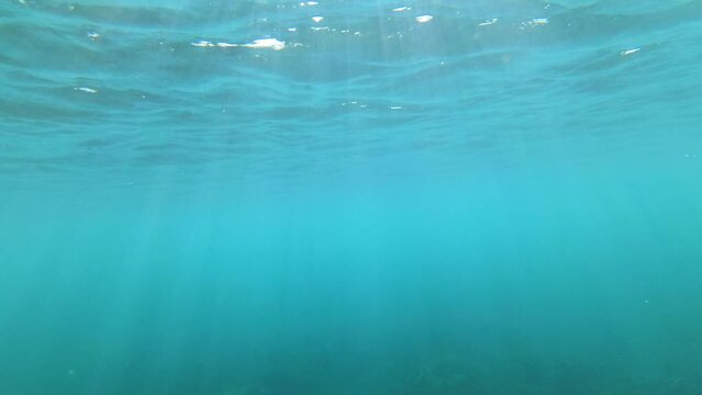 Under Water snorkeling phase at Hawaiian Pacific Ocean area