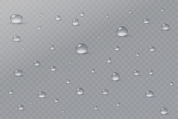 Realistic vector water drops png on a transparent light background. Water condensation on the surface with light reflection and realistic shadow. 3d vector illustration