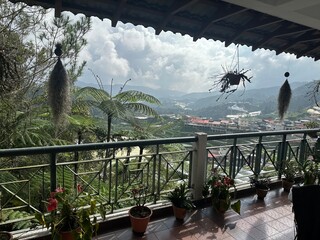 balcony view cameroon highlands
