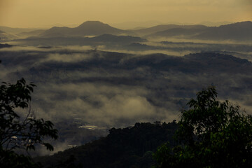 Natural wallpapers (mountains, morning light, fog, trees) scattered around, Lanscape background of fresh air and fresh air.
