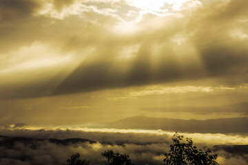 Natural wallpapers (mountains, morning light, fog, trees) scattered around, Lanscape background of fresh air and fresh air.