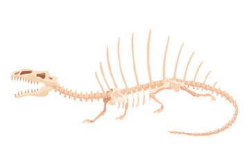 Dinosaur skeleton. Dino monsters icon. Shape of real animal. Sketch of prehistoric reptiles. Vector illustration isolated on white. Hand drawn sketch