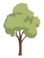 Stylized tree icon. Natural forest plant, ecology garden template isolated on white. Flat vector illustration