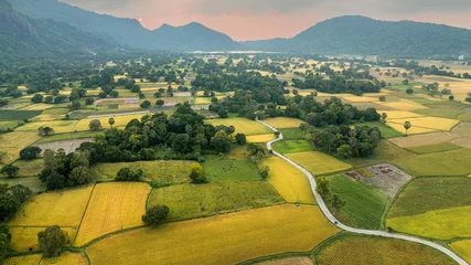 Deurstickers December 10, 2023: panoramic view of Ta Pa fields, An Giang province, Vietnam during the ripe rice season © Long