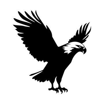 full body eagle vector illustrator, Hawk black icon. Hawk silhouette.