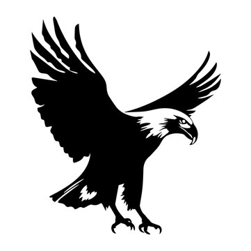 full body eagle vector illustrator, Hawk black icon. Hawk silhouette.