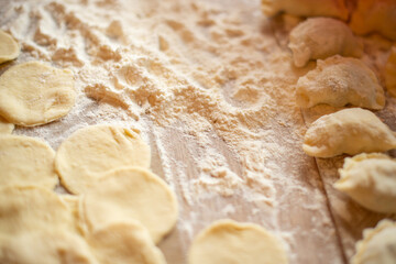 Process of Making Stuffed Dumplings. Dumpling Dough. Food Background