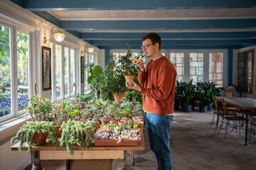 Fototapeta na wymiar Interested man choosing houseplant in cozy private flower shop selling decorative plants. Concentrated guy holding smartphone, making photos, using mobile application for learning names, species 