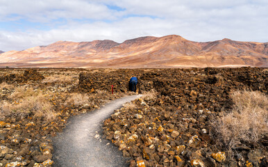 Mystical Desert Path: A Journey to Silence and Discovery in Fuerteventura's Tranquil Landscape