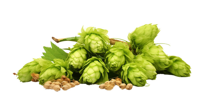 Green hops Artificial Intelligence Generative