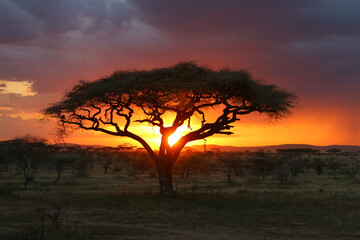 African sunset