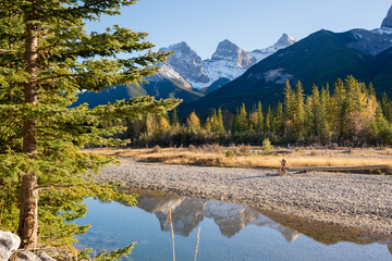 Beautiful Bow River scenery. Canmore, Alberta, Canada. The Three Sisters trio of peaks over the...