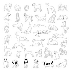 Doodle dogs. Happy domestic animals linear dogs illustrations recent vector hand drawn picture set