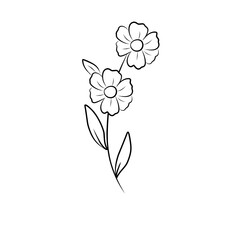 illustration of a flower