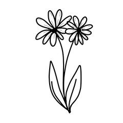 Flower line art decoration element for modern and minimalism design