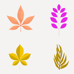 autumn leaves collection