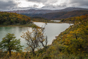 Parque Nacional, Tierra del Fuego, Argentina