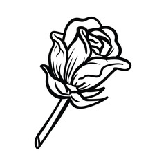 Hand drawn Floral, plants doodles illustration