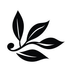 Hand drawn leaf Floral, plants doodles illustration