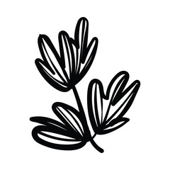 Hand drawn leaf Floral, plants doodles illustration