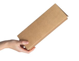 Hand holding brown paper cardboard box, eco pack isolated on white