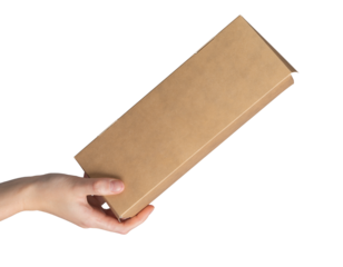 Hand holding brown paper cardboard box, eco pack isolated on white