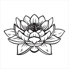 Stylish , fashionable  and awesome Lotus Flower art and illustrator