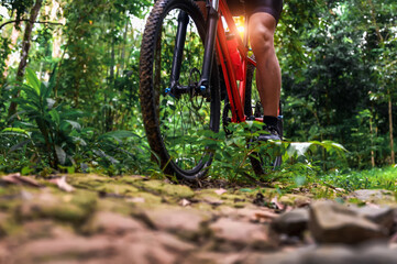 Fototapeta na wymiar Close-up of Extreme Mountain Biking, Cyclist ride on MTB trails in the Green Forest with Mountain Bike, Outdoor sports activity fun and enjoy riding. Basic techniques of the athlete.