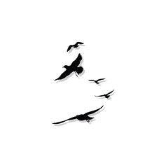 silhouette of a flock flying bird, vector illustration, flying flock bird isolated white background