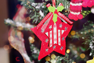 Christmas Ornaments on the Christmas tree.
