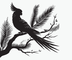 Black cockatoo sitting on a branch of a tree vector illustration © Arman