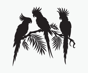 Three Black cockatoos sitting on the branches of a tree vector illustration © Arman