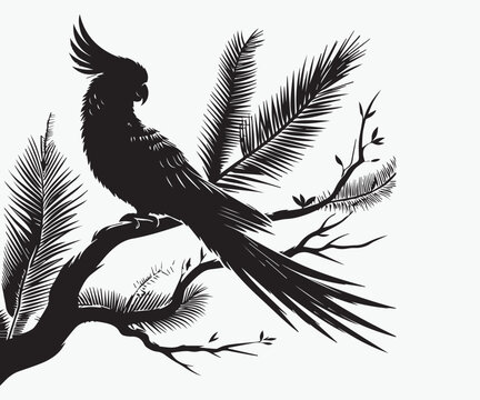 recommend clip art: Black cockatoo sitting on a branch of a tree vector illustration