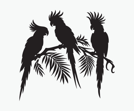Three Black cockatoos sitting on the branches of a tree vector illustration